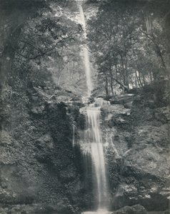 La cascada de Emu Vale, siglo XIX de Unbekannt