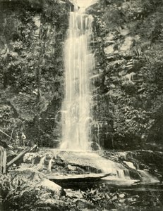 Las Cataratas Erskine, cerca de Lorne, 1901 de Unbekannt