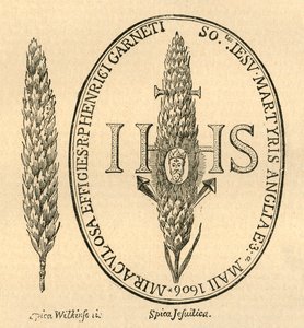 La cara en la paja. - De la Antología de Abbots, 1613, 1897 de Unbekannt