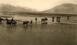 La primera vista del Monte Everest, c1918-c1939 de Unbekannt