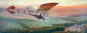 El vuelo de la golondrina de Unbekannt