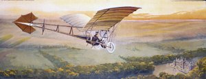 El vuelo de la golondrina de Unbekannt