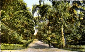 El Paseo de las Flores, Jardines de Kensington, Londres, siglo XX de Unbekannt