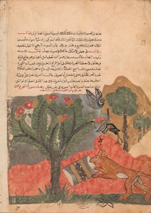 El Zorro y el Tambor, Folio de un Kalila wa Dimna, siglo XVIII de Unbekannt