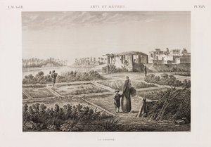 El jardinero
