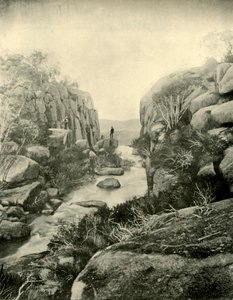La garganta, Cataratas de Búfalo, Alpes Victorianos, 1901 de Unbekannt