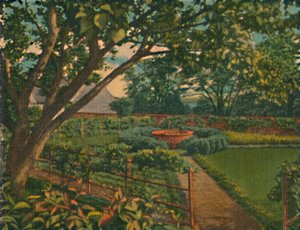 El Jardín de la Cocina, 1946 de Unbekannt
