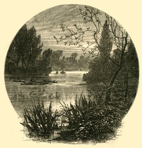 El lago, Parque Battersea, c1878 de Unbekannt