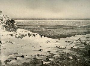 El Último de los Pingüinos Justo Antes de su Migración en Marzo, c1908, 1909 de Unbekannt