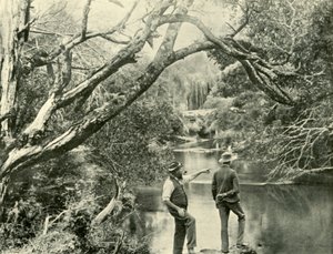 El lugar de lanzamiento, Upper Yarra, Victoria, 1901 de Unbekannt