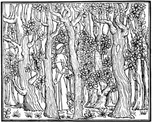 El amante en el bosque, 1499 de Unbekannt