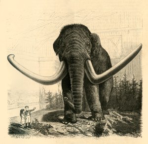 El mamut de San Petersburgo, 1883