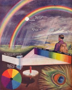 Los muchos colores que componen la luz blanca de Unbekannt
