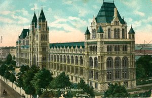 El Museo de Historia Natural, Londres, c1910