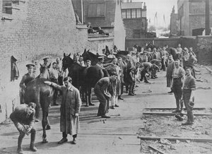 El Nuevo Ejército en entrenamiento en la Escuela de Herradores, 1915 de Unbekannt