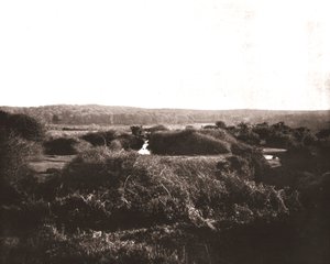 El Nuevo Bosque, Hampshire, 1894 de Unbekannt