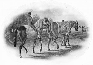 La Próxima Carrera, siglo XIX
