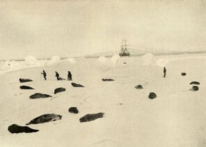 El Nimrod en Pram Point el 4 de marzo de 1909 de Unbekannt