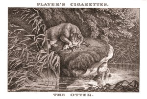 La nutria, 1924