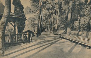 El Paseo de los Pinos, 1929 de Unbekannt