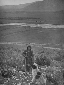 La llanura de Maratón, 1913