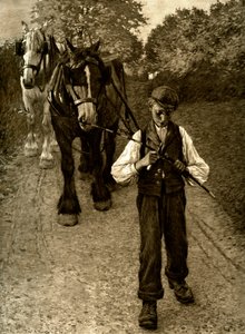 El chico del arado