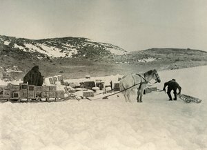 El Pont Quan a punto de arrastrar una carga de trineo, c1908, 1909 de Unbekannt