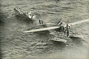 El regreso de la paloma al arca, 1919 de Unbekannt