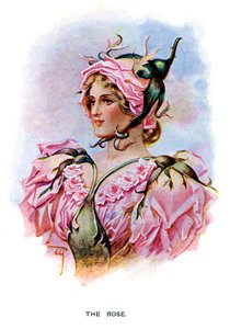 La Rosa, 1899 de Unbekannt