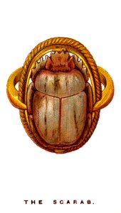 El Escarabajo de Unbekannt