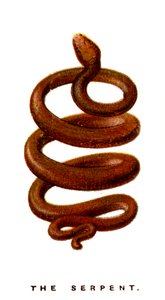 La serpiente, 1923 de Unbekannt