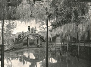 El estanque Shinji-No-Ike y glicinas, Kameido, Tokio, Japón, 1895 de Unbekannt