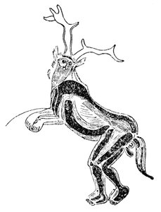 El Hechicero, Hombre Medicina o Chamán