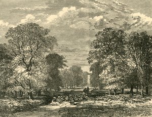 El camino de Southampton, 1898 de Unbekannt