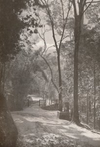 El Espíritu de Tijuca, 1914 de Unbekannt