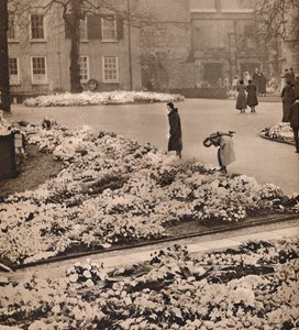 El funeral de estado del rey Jorge V en Windsor: coronas conmemorativas, 1936 de Unbekannt