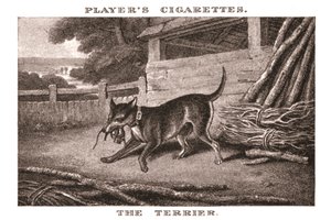 El Terrier, 1924