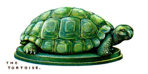 La tortuga, 1923 de Unbekannt
