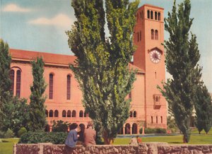 La Universidad