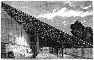 El invernadero en Hampton Court, siglo XIX de Unbekannt