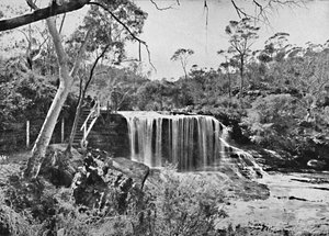 La Roca Llorona en Wentworth Falls, Montañas Azules, c1900 de Unbekannt