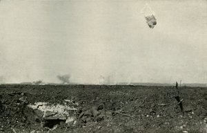 El Oso Lanudo, 1919 de Unbekannt