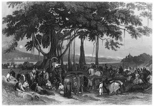 La llegada de la fuerza contingente de la caballería irregular Sikh, India, c1860 de Unbekannt