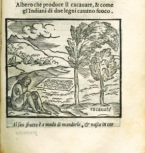 El árbol de cacao. De Historia del Mondo Nuovo por Girolamo Benzoni, 1563 de Unbekannt