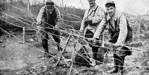 Las defensas de Carency, Francia, 1915 de Unbekannt