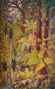 La vegetación gigantesca de la Era Carbonífera, 1907