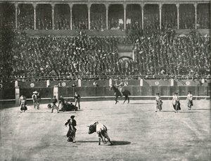 El interior de la Plaza de Toros, Madrid, España, 1895 de Unbekannt