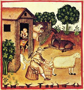 La producción de queso. Una miniatura del Tacuinum Sanitatis, segunda mitad del siglo XIV de Unbekannt