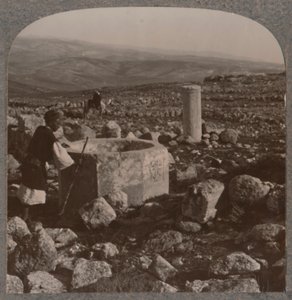 Las ruinas de Tekoa, c. 1900 de Unbekannt