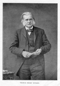 Thomas Henry Huxley, biólogo británico, c1870s de Unbekannt